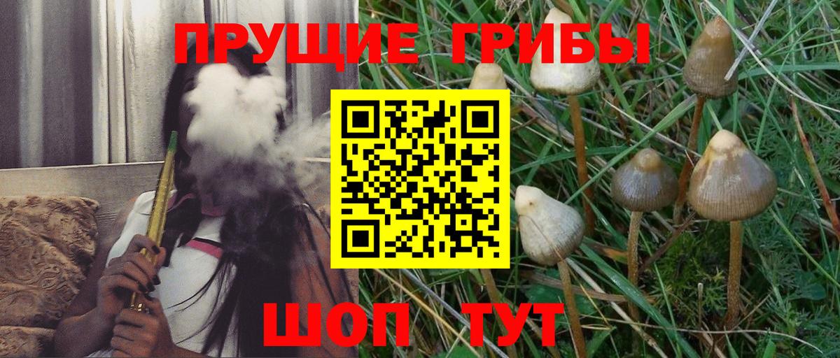 Галлюциногенные грибы прущие грибы Лобня
