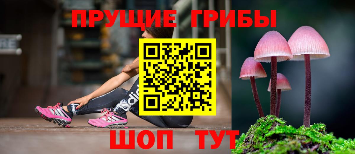 Лобня  Псилоцибиновые грибы Magic Shrooms  Вход с VPN  Галлюциногенные грибы MAGIC MUSHROOMS 